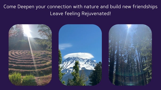 Mt Shasta retreat